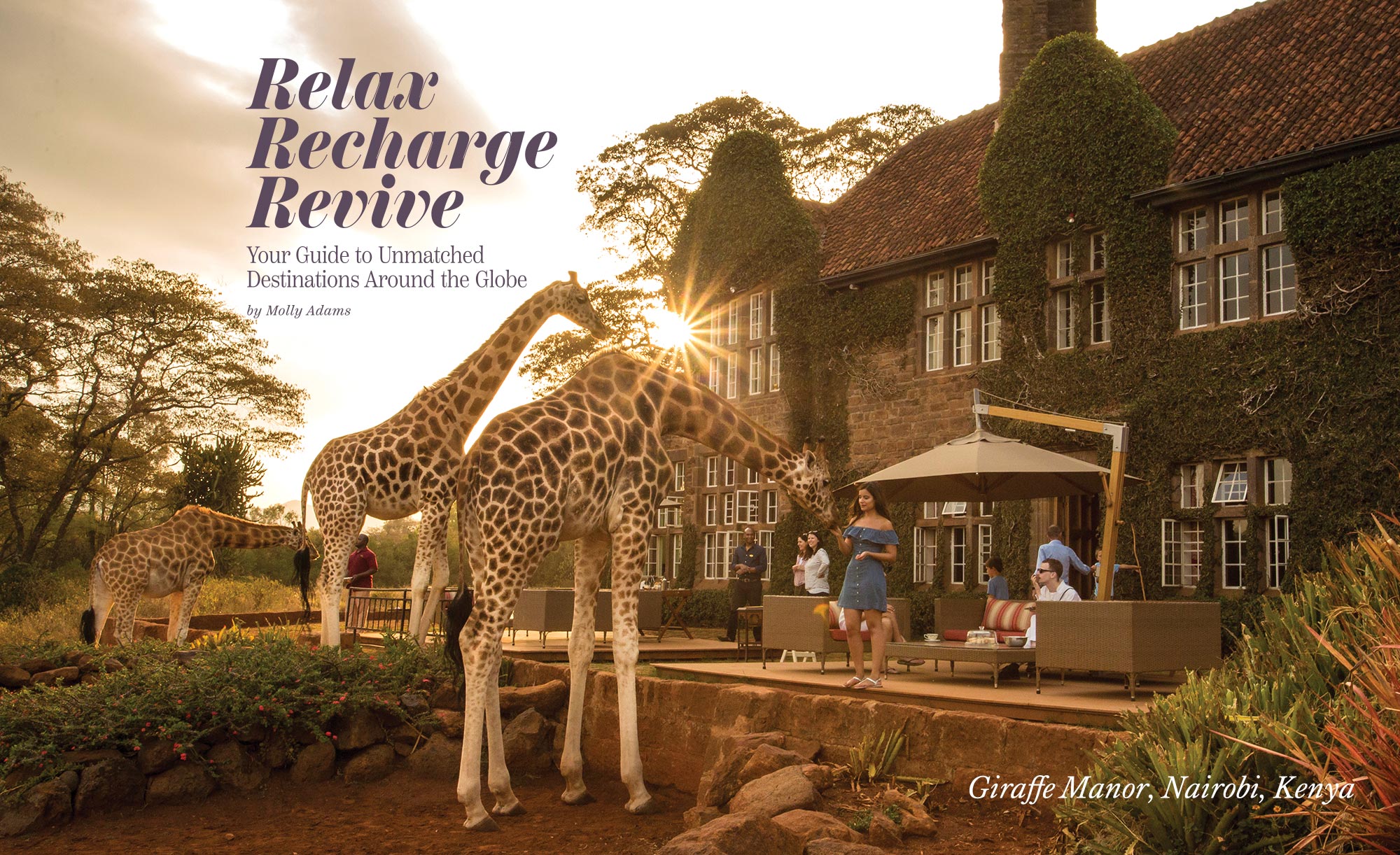 Relax, Recharge, Revive - Amazing GIraffe Interactions