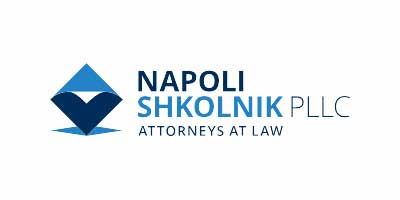 Napoli Shkolnik Firm Logo